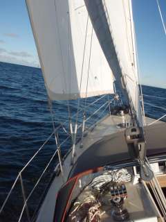 FORGUS 31, BauNr 153, LarsHedberg Design