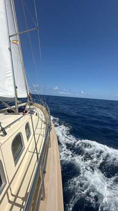 SC Puffin 58 SRF Shipbuilding NL