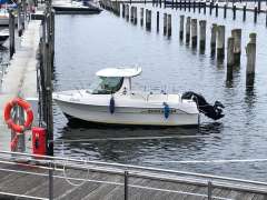 Quicksilver Pilothouse