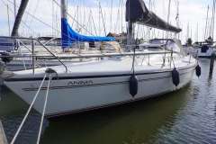 Dehler 36  CWS