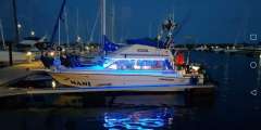 Bayliner Contessa 2860 fly
