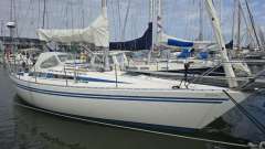 Finngulf 36 Plachetní jachta