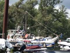 Segelboot Segelyacht