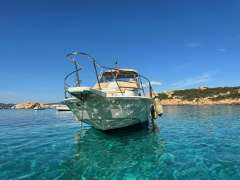 Boston Whaler Revenge 25