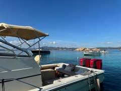 Boston Whaler Revenge 25