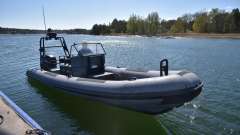 Rupert 26