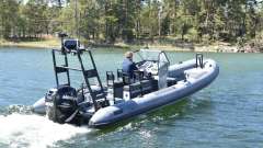 Rupert 26