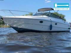 Cranchi 31