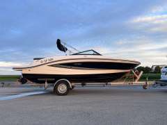 Sea Ray SPX 19