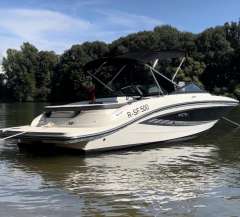 Sea Ray SPX 19