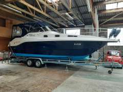 Drago 29