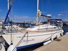 Bavaria 37