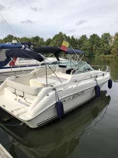 Sea Ray 250 Sundancer