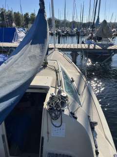 O.L.-Boats International 806