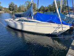 O.L.-Boats International 806