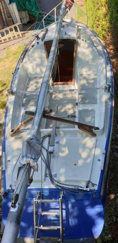 Archambault Bagheera