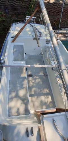 Archambault Bagheera