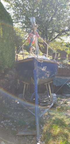 Archambault Bagheera