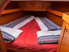 Comfortina 35