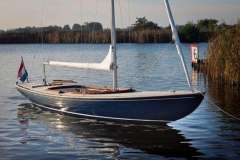 Focus 800 Daysailer