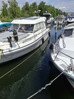Saga 320 Sun Top