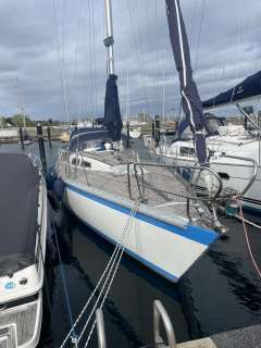 Hatecke Hornet 33
