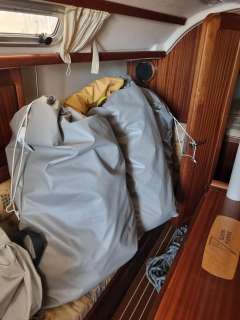 Bavaria 34 SPEED