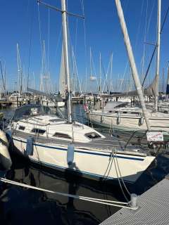 Gibert Marine Gib Sea 35 Master