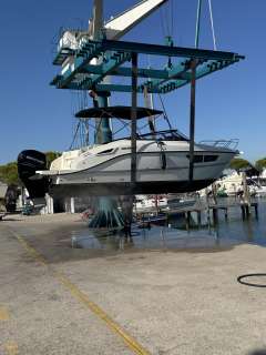 Quicksilver Activ 805 Cruiser