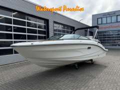 Sea Ray SPX 210 Sürat Teknesi