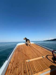 Black Pepper Tender 17