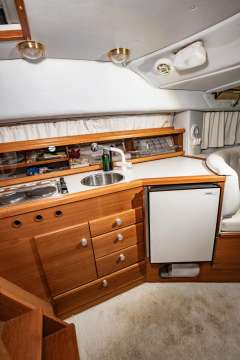 Dolphin 900