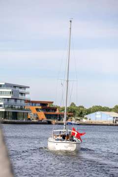 Venus  31