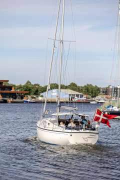 Venus  31