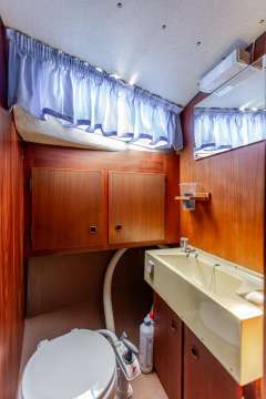 Venus  31