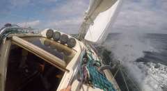 Avance 36 De Lux