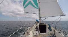 Avance 36 De Lux Avance 36 De Lux