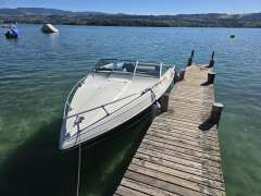 Wellcraft 192 Sportboot