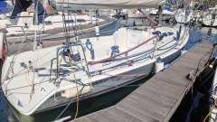 Archambault GRAND SURPRISE