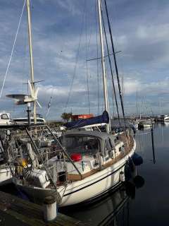 Bekebrede 49