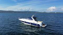Cranchi Endurance 41