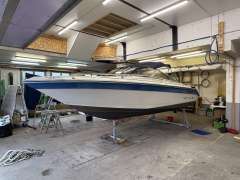 Sea Ray Sea Ray Sportboot