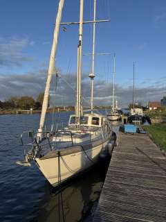 Calypso 43 Franz Maas/ Meisner