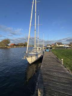 Calypso 43 Franz Maas/ Meisner