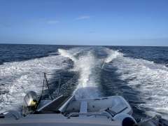 Gianetti 55 Open
