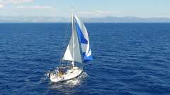 Alliaura Feeling 44 Lift Keel