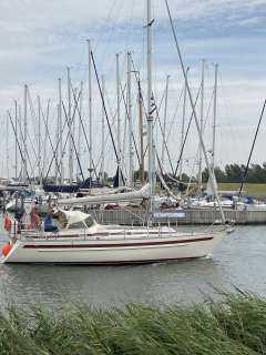 Rex Marin Najad / Aphrodite