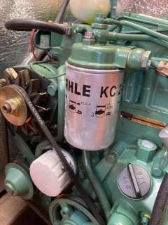 Rex Marin Najad / Aphrodite