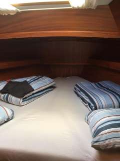 Rex Marin Najad / Aphrodite