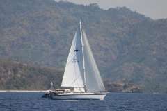 Malö 46 Classic